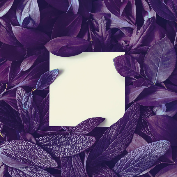 δημιουργική σελιδοποίηση της Λευκής Βίβλου κάρτα με tropic μοβ φύλλα, υπερφυσική αντίληψη - Φωτογραφία, εικόνα