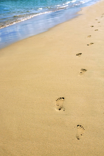 voetafdrukken in het zand op het strand . - Foto, afbeelding