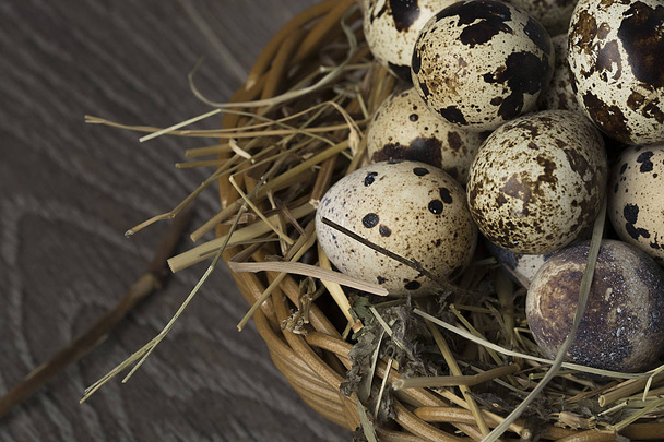 Huevos de codorniz en un nido sobre un fondo rústico de madera. Concepto de comida saludable. - Foto, imagen