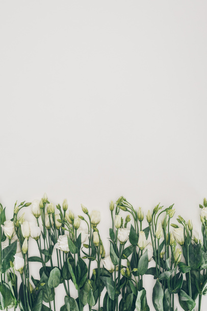 piękne białe kwiaty z zielonych liści na szarym tle  - Zdjęcie, obraz