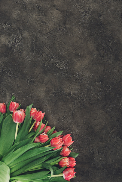top view of beautiful red tulip flowers on dark surface with copy space  - Fotó, kép