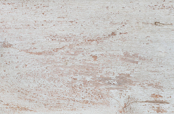 Vieux bois blanc
 - Photo, image