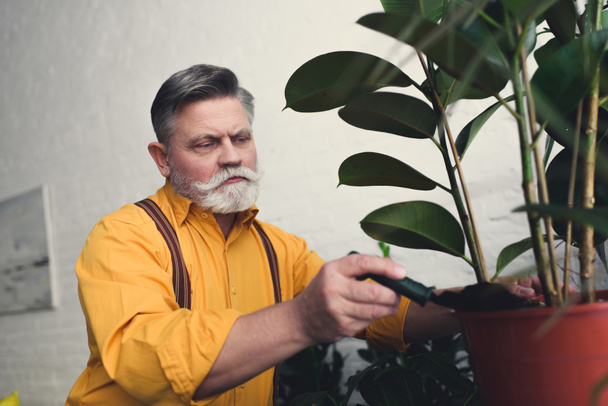 homme âgé barbu mettre de la terre en pot avec des plantes vertes
 - Photo, image