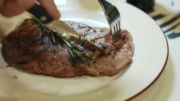 Close up of delicious steak, which is being cut in expensive restaurant, slow motion. - Video