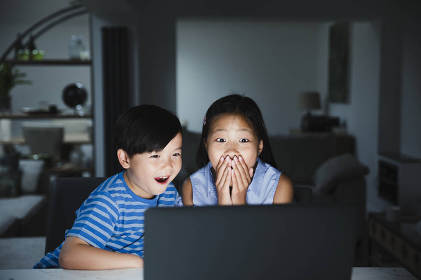 Children Watching a film on Laptop  - Фото, зображення