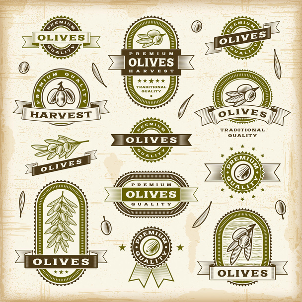 Набор винтажных оливковых этикеток
 - Вектор,изображение