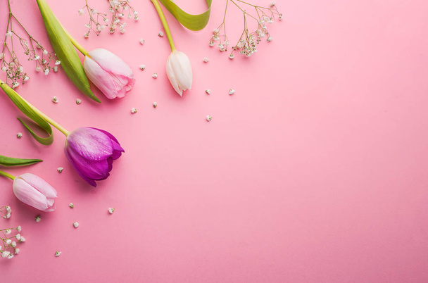 Pink flowers on a pink background. - Foto, imagen