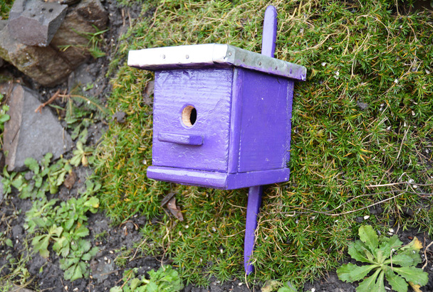 De cerca en púrpura pajarera, caja de anidación para pájaros jardín amistoso
. - Foto, imagen