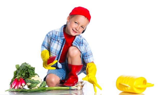 Cute little boy with scoop, fresh organic vegetables and watering can - Foto, Bild