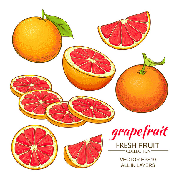 grapefruit vector set - Vector, afbeelding