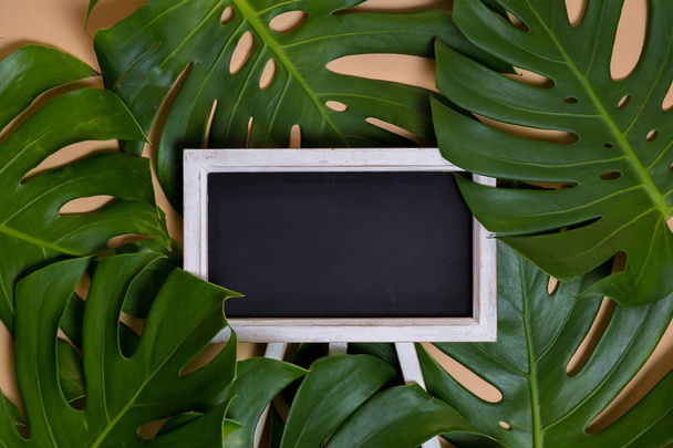 Monstera leaves decorated over creative nude beige pastel  background - with empty blackboard for copy space - Foto, immagini