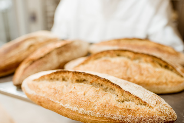 Taca z świeże bochenków chleba Baker - Zdjęcie, obraz