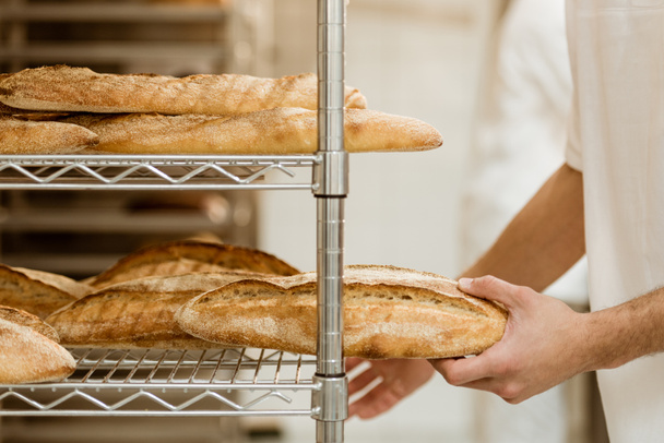 cropped shot of handsome baker putting fresh bread on shelf at baking manufacture - Fotografie, Obrázek