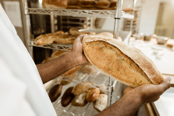 cropped shof baker holding fresh loaf of bread on baking manufacture - Фото, изображение