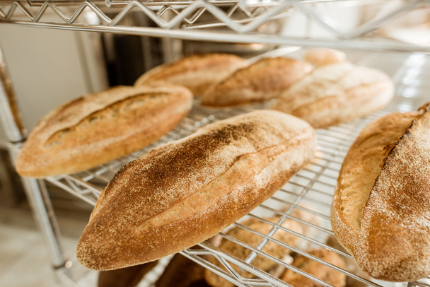 shelves with tasty freshly baked bread on baking manufacture - 写真・画像