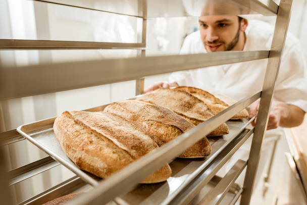 primer plano de panadero guapo poner bandejas de pan fresco en pie en la fabricación de la hornada
 - Foto, Imagen