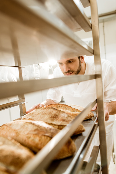 plan rapproché du boulanger mettant des plateaux de pain frais sur le stand lors de la fabrication de la cuisson
 - Photo, image