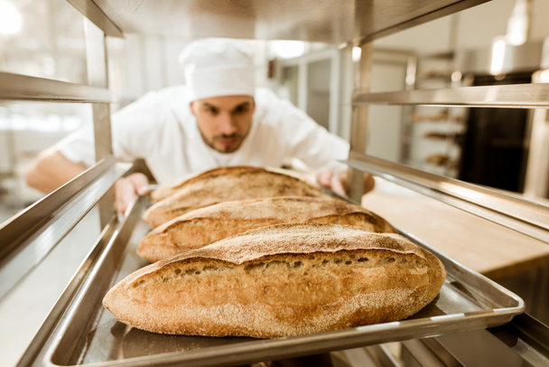 panadero joven poner bandejas de pan fresco en stand en la fabricación de la hornada
 - Foto, Imagen