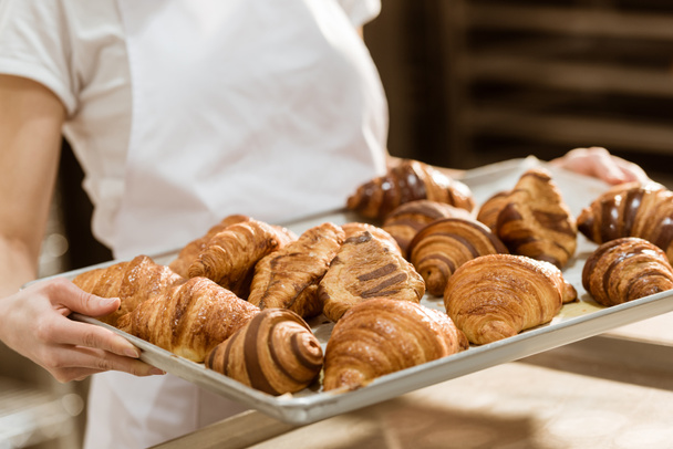 tiro recortado de panadero hembra bandeja con croissants frescos en la fabricación de la hornada
 - Foto, Imagen