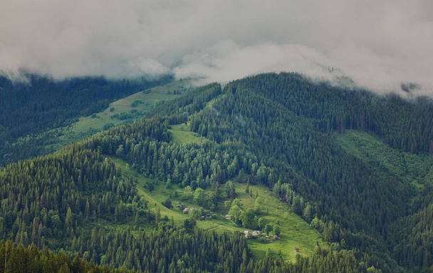 mountainous landscape with forested hills. beautiful summer scenery on a cloudy day - Fotó, kép