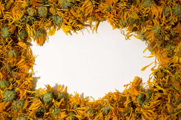 Dried flowers are calendulaed on a white background. Top view. Calendula officinalis. Frame of flowers. - Photo, Image