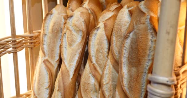 pão acabado de fazer na padaria, pães orgânicos de grãos integrais, bela e deliciosa baguete de estilo francês artesanal, exibição de padeiro marrom dourado na loja, macio crocante fresco caseiro
 - Filmagem, Vídeo