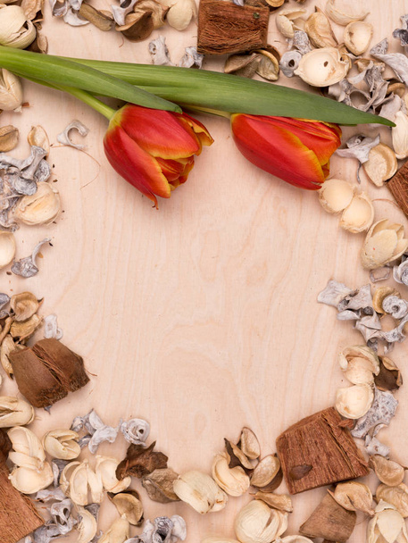 frame with small natural elements on the natural wooden  background - Photo, Image