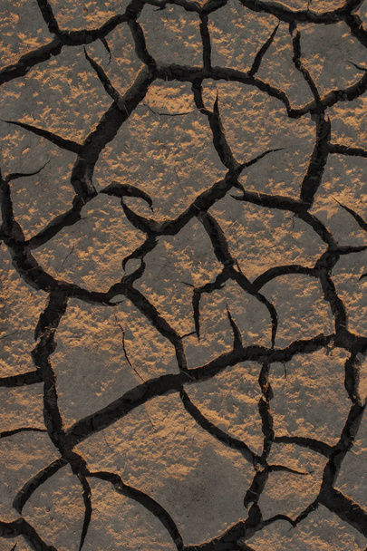 Land lying baked in the heat. The bottom of the dried up lake. - Photo, Image