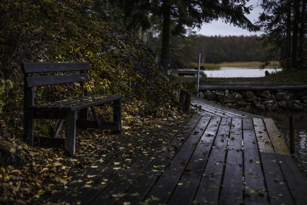 autumn view of a park bench at a jetty - Fotó, kép
