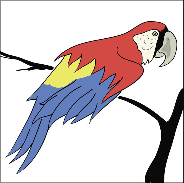 Papagei sitzt auf einem Ast - Vektor, Bild