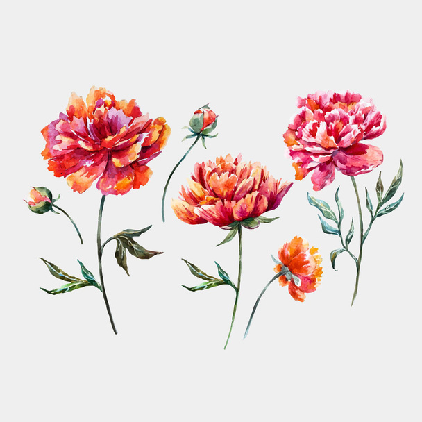 Watercolor floral vector set - Vektori, kuva