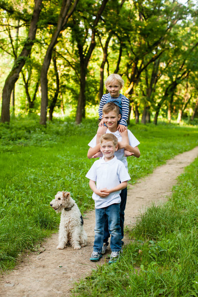 Kids with fox terrier dog - Foto, immagini