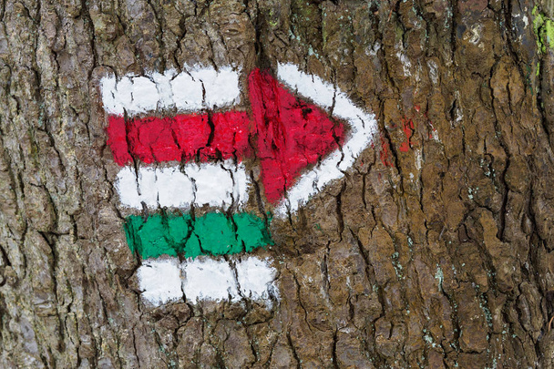 Värikkäitä merkkejä vaellukselle puun kuoressa, nuolen muotoinen
 - Valokuva, kuva