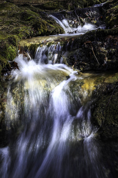 a small waterfall in the woods - Foto, imagen