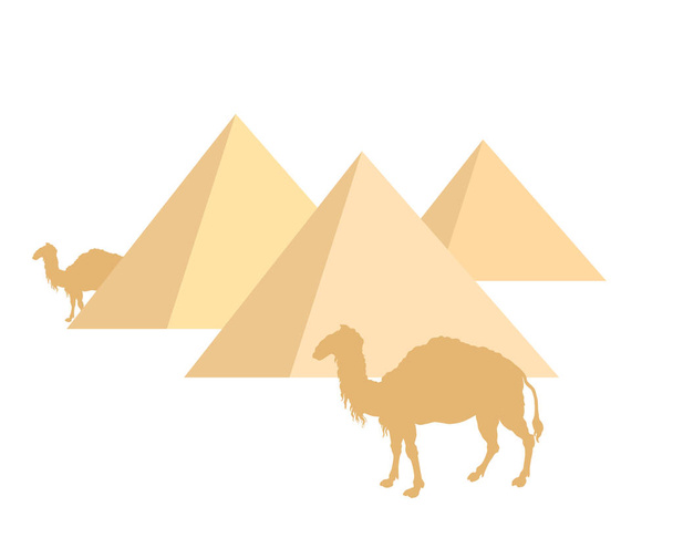 Верблюды и пирамиды на белом
 - Вектор,изображение