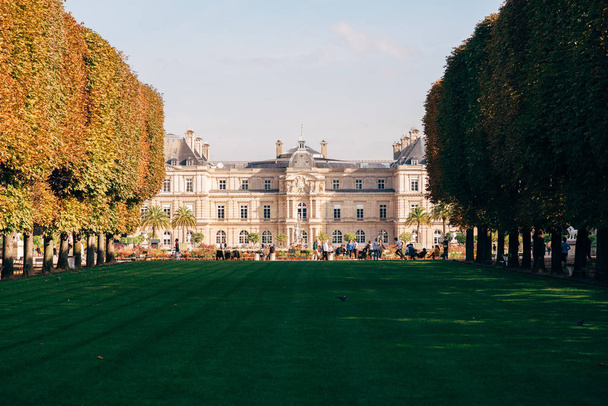 Luxembourg Gardens with yellow flowers, green grass, sculptures, chairs. Famous French Senat palace building on a sunny summer day. - Foto, afbeelding