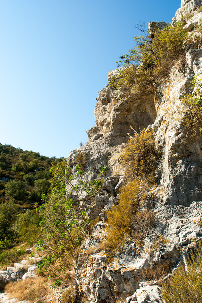 rocky scrubby landscape - Photo, Image