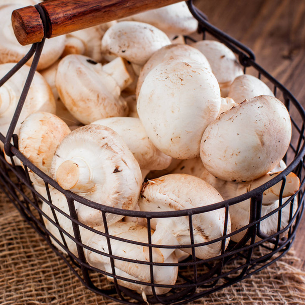 Raw fresh champignons in a metal basket on a wooden table, square - Foto, immagini