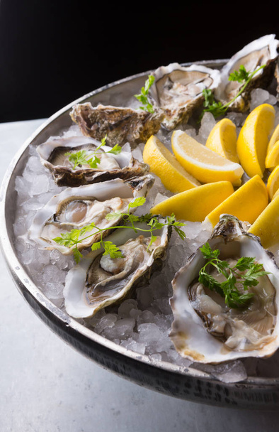 Oysters platter with lemon - Foto, Imagem