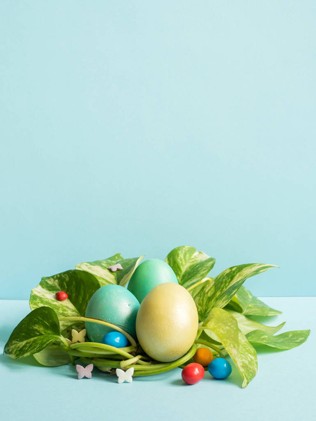 Пасхальные яйца в гнезде из зеленых листьев на синем фоне
 - Фото, изображение