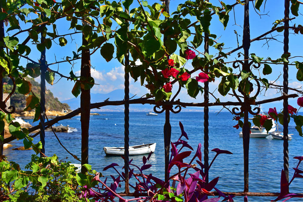 Italy, Naples, small port of Marechiaro among the flowers, with Vesuvius in the background. - Photo, Image