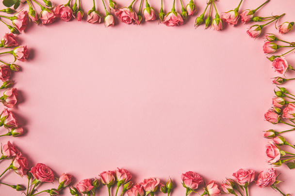 美しいピンクのバラとピンクのコピー領域から作られたフレームのトップ ビュー - 写真・画像