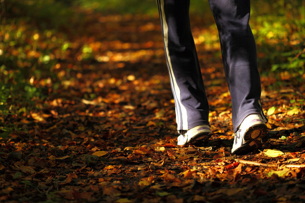 Chemin de randonnée femme dans la forêt d'automne
 - Photo, image