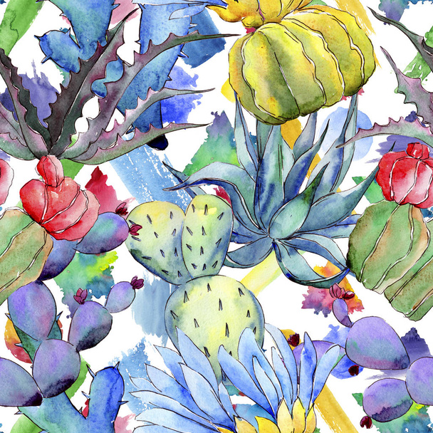Wildflower cactus flower pattern in a watercolor style. - Φωτογραφία, εικόνα