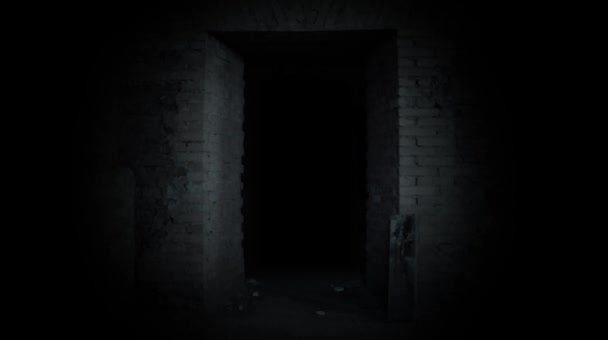 A mysterious door. Door to the Unknown. - Footage, Video