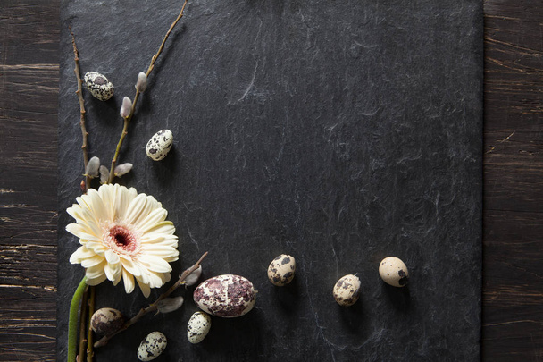 Easter background with dark stone, gerbera flower, fluffy willow - Foto, immagini
