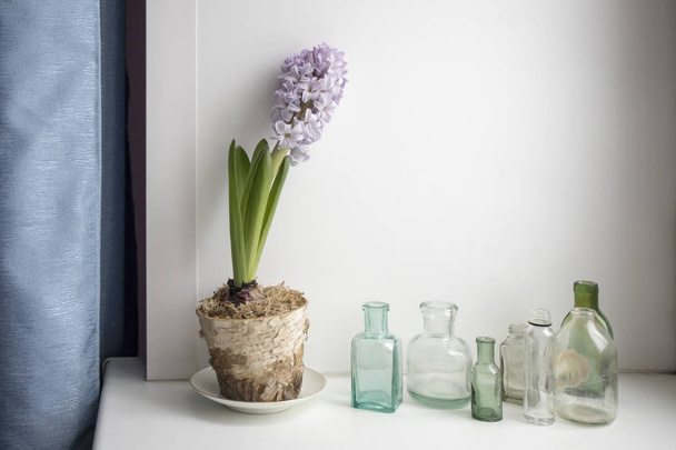 the Pale blue hyacinth in a blue cup as a decoration of window - Foto, Imagem