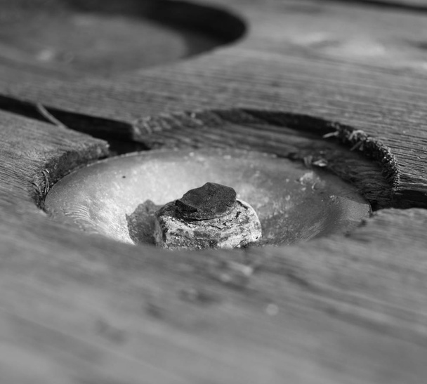 Іржавий гвинт і болт в деревину
  - Фото, зображення