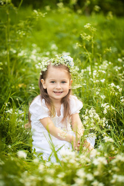 Pieni tyttö pellolla valkoisten kukkien kanssa
 - Valokuva, kuva