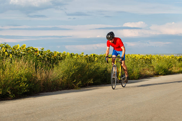 Cyklista jede na silničním kole podél pole slunečnic. - Fotografie, Obrázek